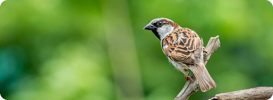 Dbamy o Twoich bliskich